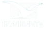 TV Mirante